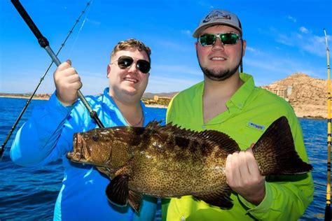 cabo san lucas fishing report|fishing booker cabo san lucas.